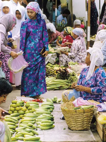 Multikulturelles Malaysia