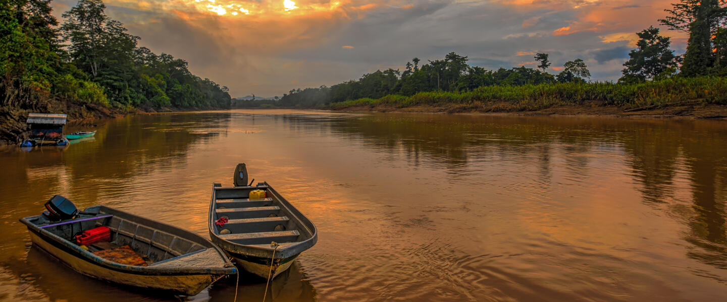 Naturparadies Borneo