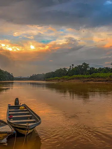 Naturparadies Borneo