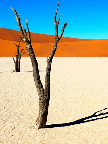Entdeckungsreise Namibia