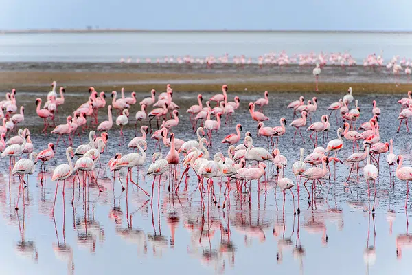 Namibia - Wildnis und Weite mit Flair