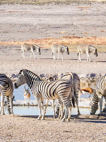 Namibia - Wildnis und Weite mit Flair