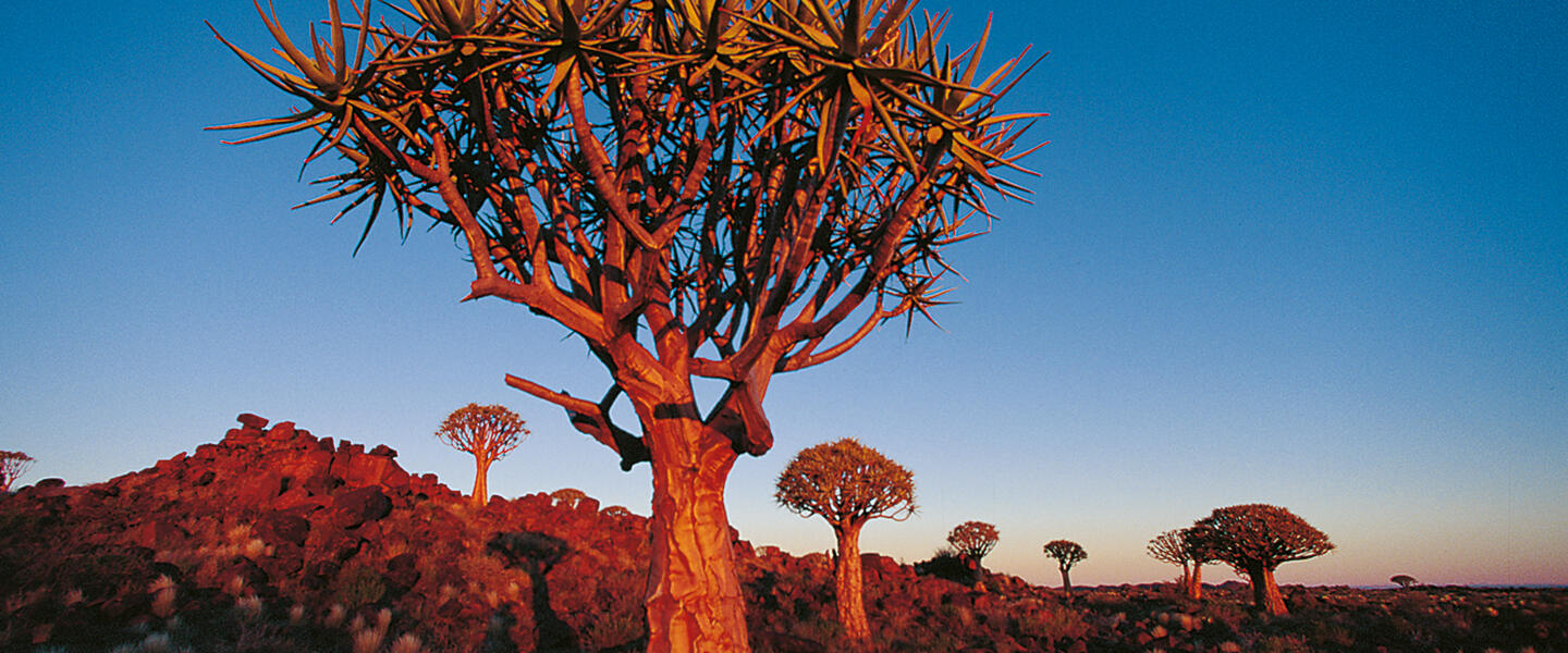 Simbabwe, Namibia, Botswana - im Herzen Afrikas