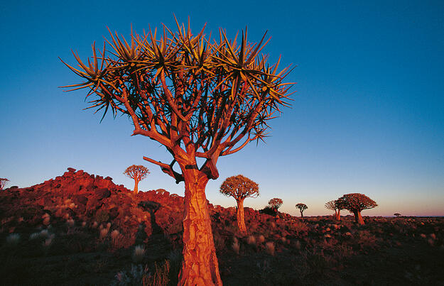 Simbabwe, Namibia, Botswana - im Herzen Afrikas
