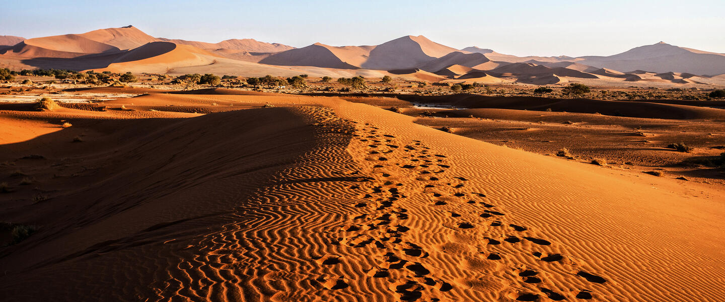 Namibia hautnah - Wüste, Weite und Sternenhimmel