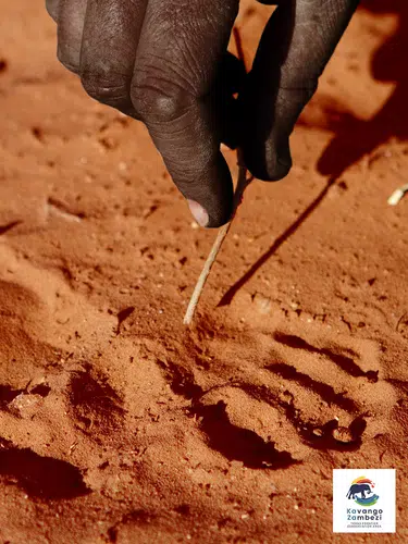 Naturschätze im südlichen Afrika
