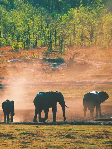 Naturschätze im südlichen Afrika