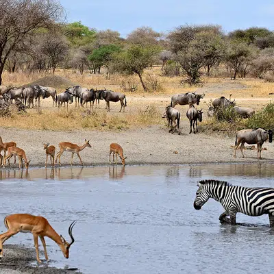 Südafrika - freie Wildnis und Indischer Ozean