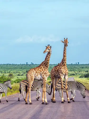 Südliches Afrika - Sinfonie der Naturwunder