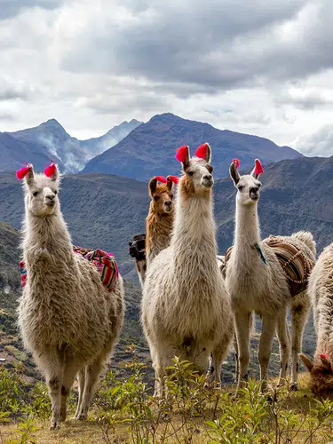 Peru aktiv entdecken