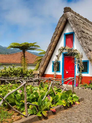 Blumeninsel Madeira