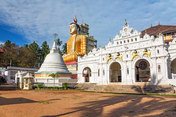 Natürlich Sri Lanka!