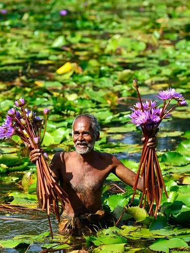 Der Zauber Sri Lankas