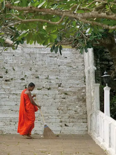 Der Zauber Sri Lankas