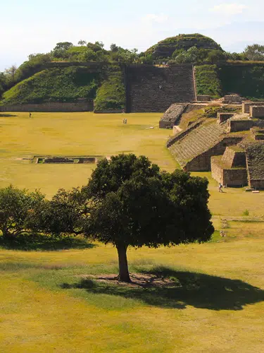 Viva México - Heldinnen braucht das Land