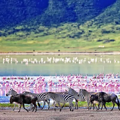 Tansania und Sansibar - von der Serengeti zum Indischen Ozean