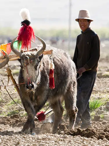 Heiliger Weg nach Tibet