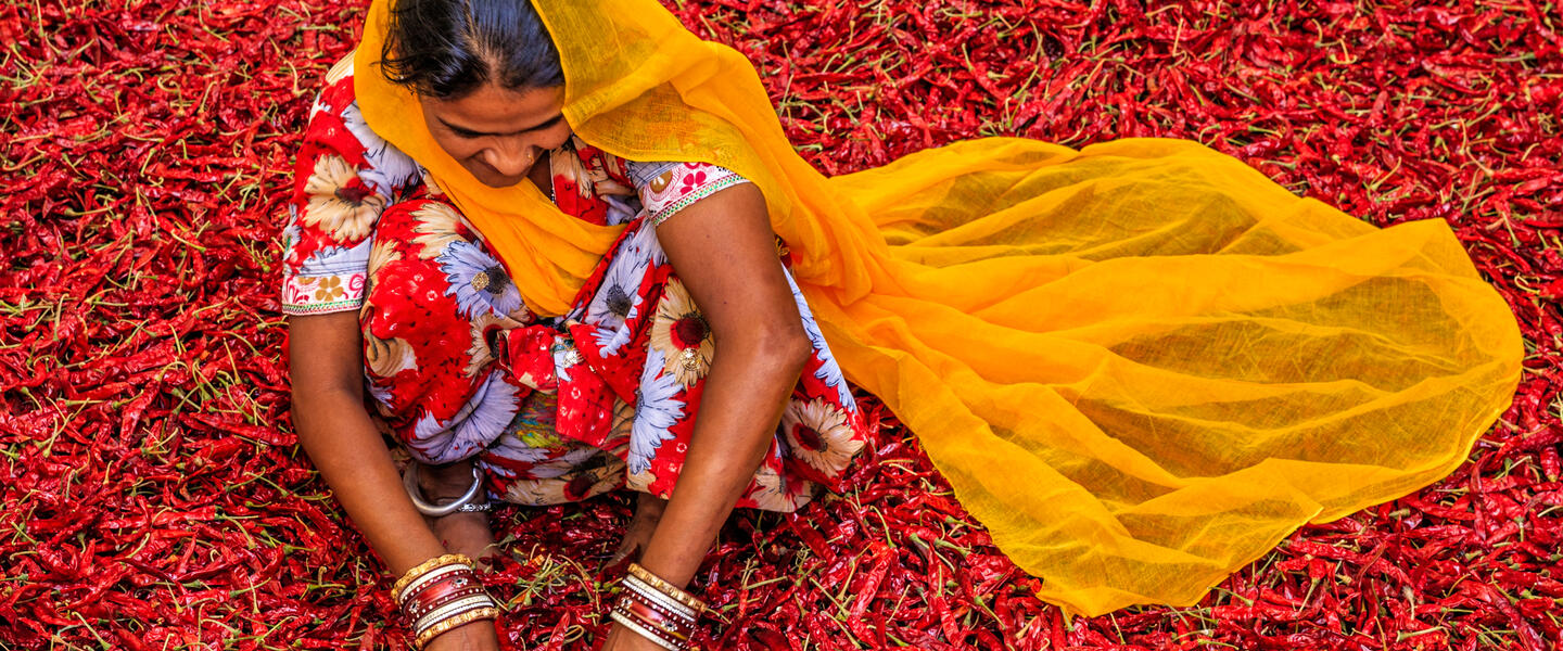 Vielfalt Nordindiens