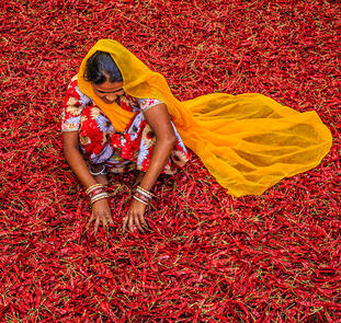 Vielfalt Nordindiens
