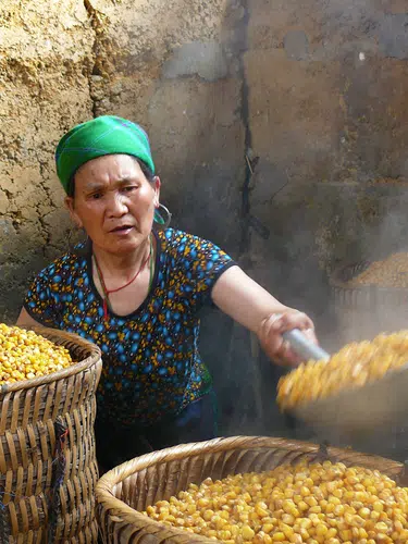 Vietnam für Entdecker