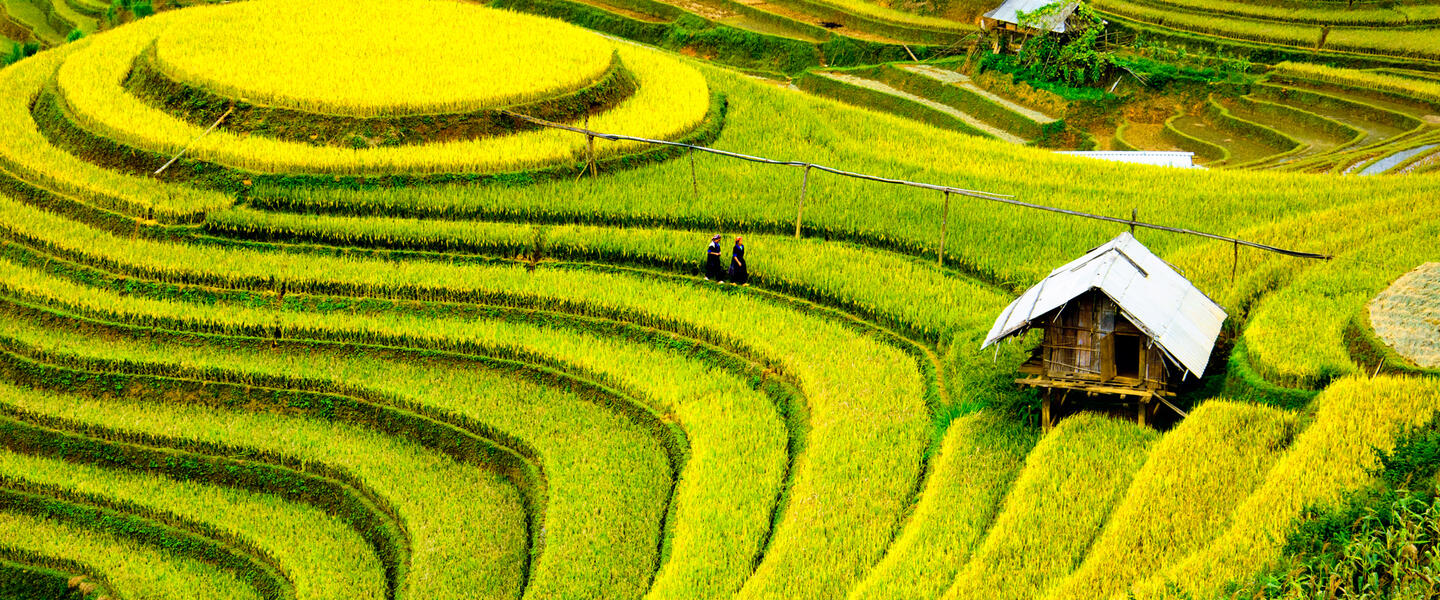 Kulturschätze in Vietnam und Kambodscha