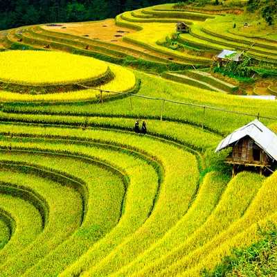 Kulturschätze in Vietnam und Kambodscha