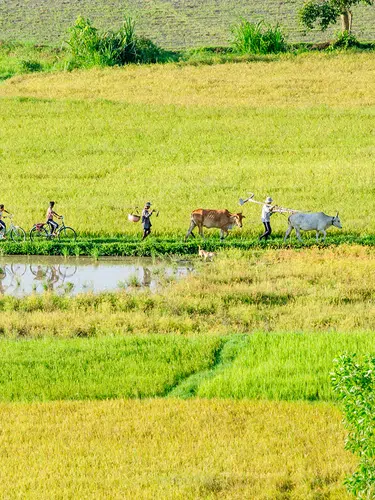 Asiens Herzschlag - überland von Bangkok nach Südvietnam
