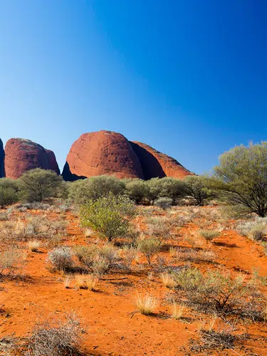 Höhepunkte Australiens
