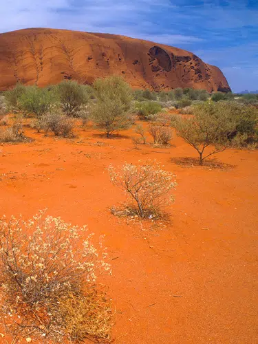 Höhepunkte Australiens