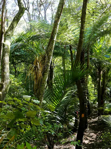 Neuseeland auf Schritt und Tritt