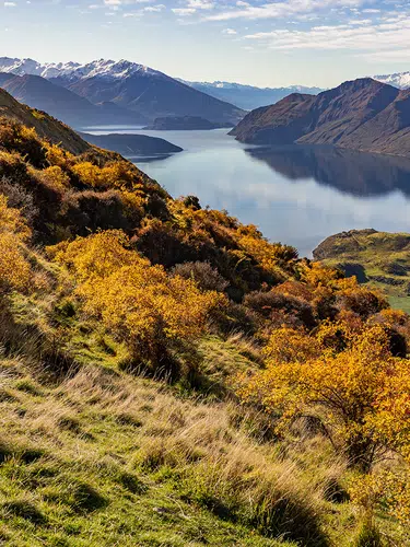 Neuseeland auf Schritt und Tritt