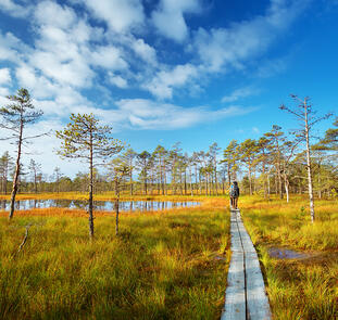 Estlands Inselwelten, Nationalparks und Moorlandschaften