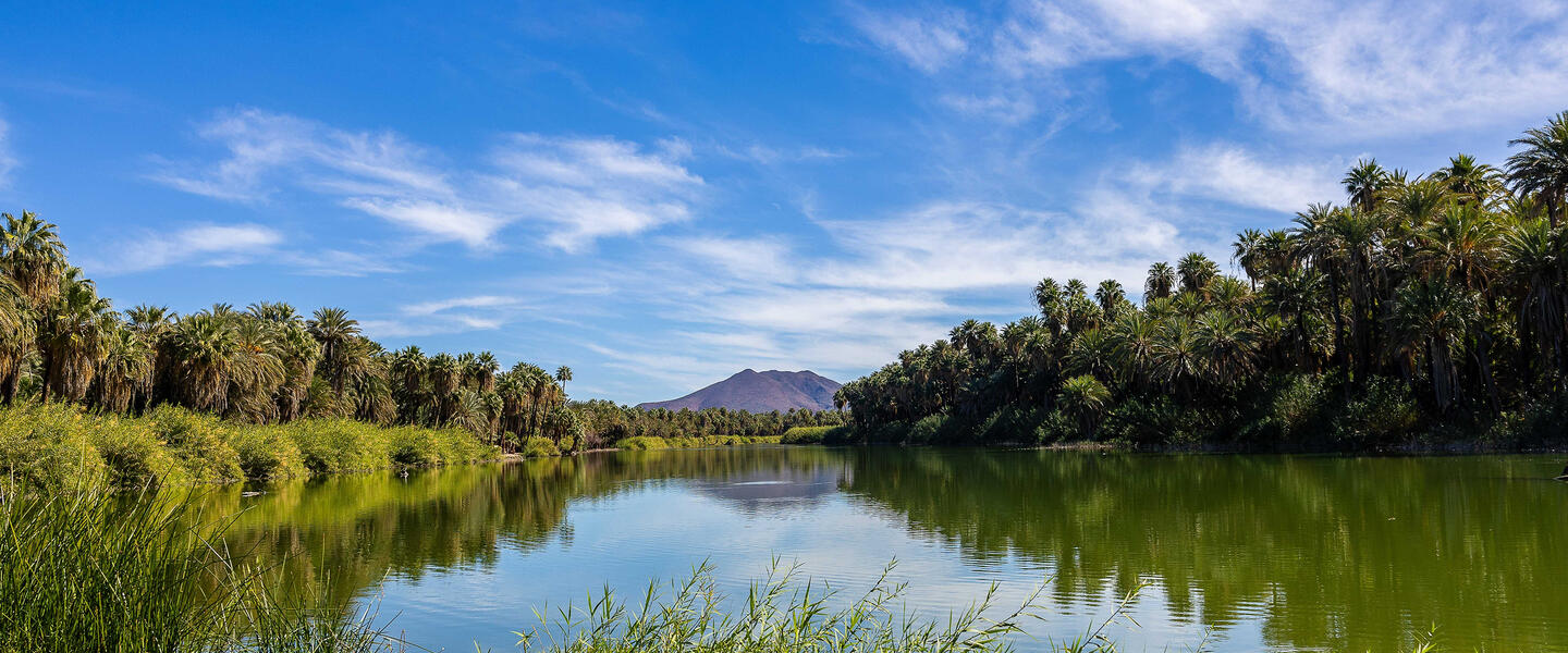 Mexiko: Baja California Sur - unbekanntes Naturparadies