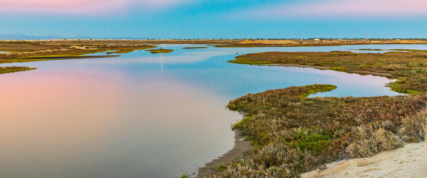 Mexiko: Baja California Sur - unbekanntes Naturparadies