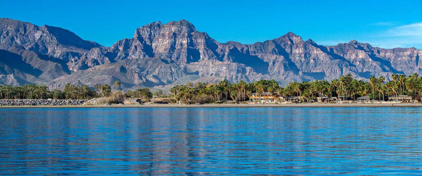 Mexiko: Baja California Sur - unbekanntes Naturparadies