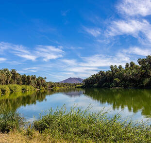 Mexiko: Baja California Sur - unbekanntes Naturparadies