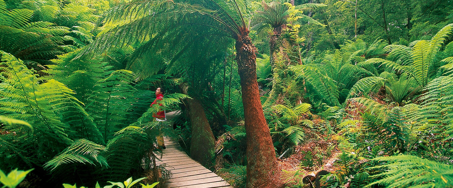 Umfassendes Australien