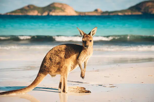 Australien in Style