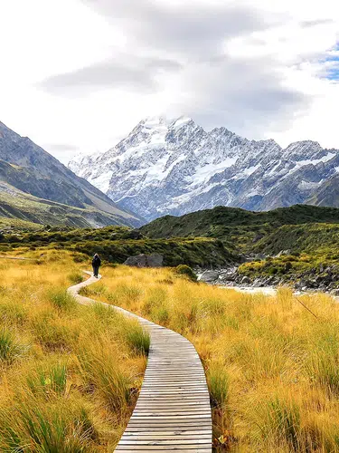 Neuseelandsafari - von Auckland nach Christchurch