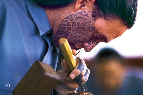 Neuseeland einmal anders erleben