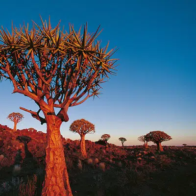Maison Ambre Guesthouse, Windhoek