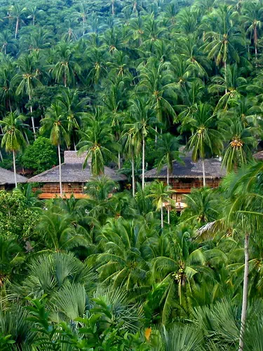 Coco Beach Island Resort, Puerto Galera