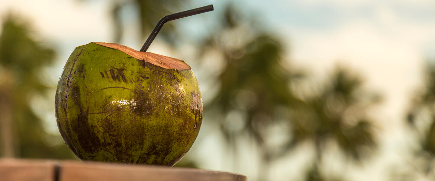 Baden an der Küste Bahias Baden an der Küste Bahias