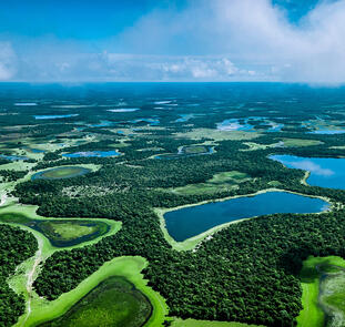 Natrparadies Pantanal Natrparadies Pantanal