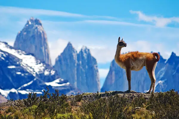 Chile und Argentinien - einzigartiges Patagonien privat