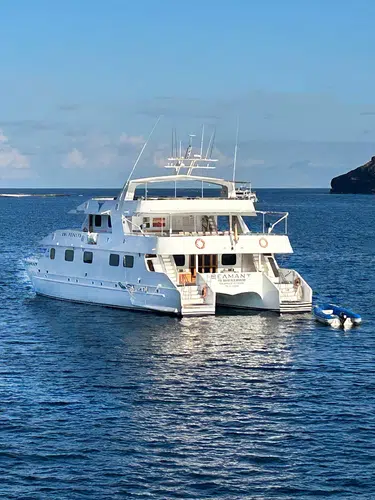 Galápagos mit dem Schiff entdecken
