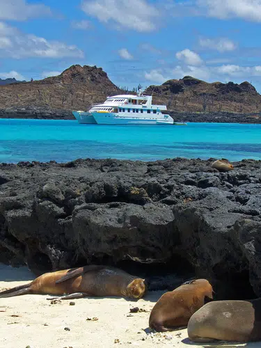 Galápagos mit dem Schiff entdecken