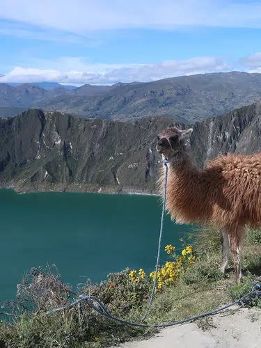 Ecuador und Galápagos zum Kennenlernen privat