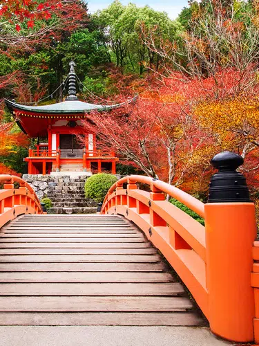 Höhepunkte Japans erleben