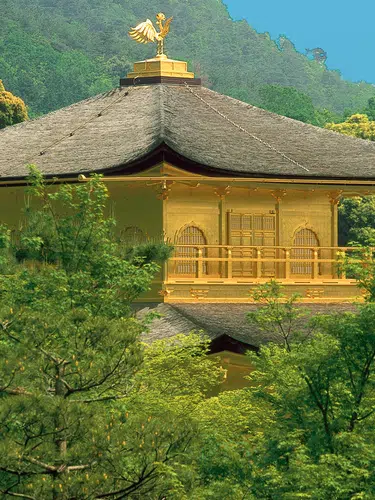 Höhepunkte Japans erleben